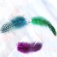 thumbnail image 7 of 50PCS Lots Dyed Guinea Hen Feather Chicken Feathers Craft Embellishment, 7 of 7