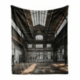 thumbnail image 1 of Industrial Soft Flannel Fleece Blanket, Inside a Hangar Old Architecture Construction Urban Life Timeworn Windows, Cozy Plush for Indoor and Outdoor Use, 50" x 70", Brown White Grey, by Ambesonne, 1 of 6