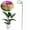 Green, variant on Plant Supports Plant Support Stakes, Plant Stakes, plant sticks support for Indoor and Outdoor Plants Plant Support for Potted Plants Tomato Orchid Lily Dahlia Clematis Rose Flowers Stem