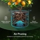 thumbnail image 5 of Macetas Grow Bags VIVOSUN, paquete de 10 unidades, 3,8 L, tela reforzada, color negro, 5 of 7