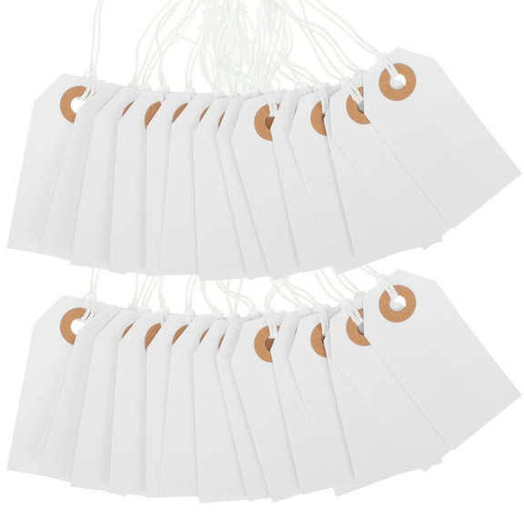 100 Pcs Blank Label Hang Tag Price Tags Labels Jewelry Clothing and Commodity Merchandise