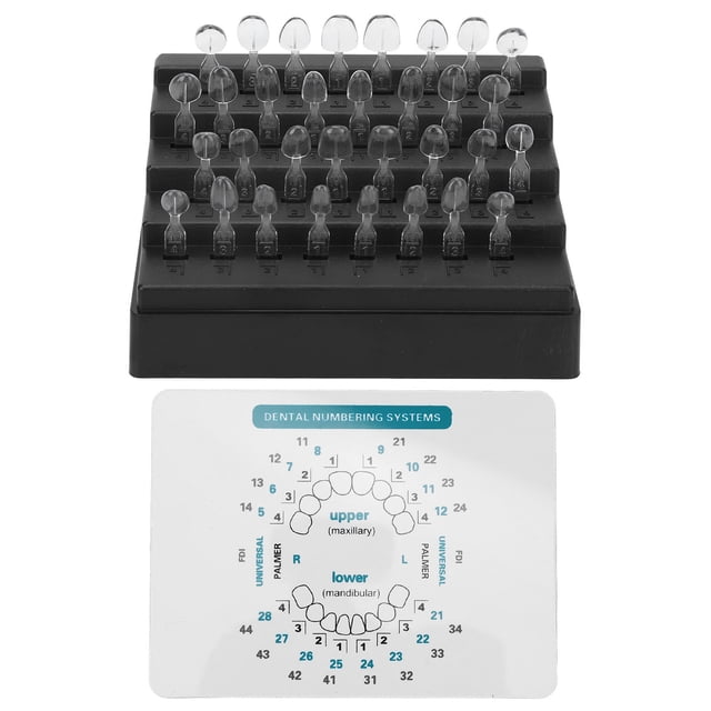 Juego de 32 moldes para carillas dentales de diferentes formas, resistentes al calor, para dientes delanteros y traseros, molde de resina compuesta