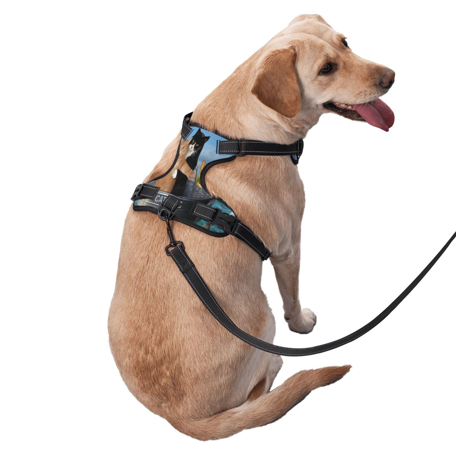 Naloa Two Brave Cats Are Floating On The Sea Iceberg Pet Harness Vest with Traction Rope, Adjustable No-Choke Dog Vest for Outdoor, Walking - Small