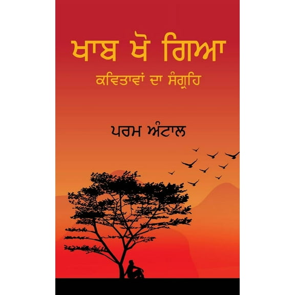 Khaab Kho Gaya - ਖਾਬ ਖੋ ਗਿਆ, (Paperback)