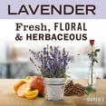 Mrs. Meyer’s Clean Day Kitchen Basics Set, Lavender Cleaning Supplies