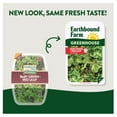 thumbnail image 2 of Earthbound Farm Greenhouse Baby Green Red Leaf 8oz, 2 of 6