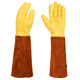 thumbnail image 1 of Guantes de cuero para jardinería con protección para el antebrazo, guantes largos para recortar rosas resistentes a pinchazos, 1 of 5