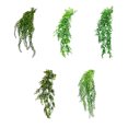 thumbnail image 3 of Advancent Plantas en macetas falsas de atmósfera natural y atractiva de plástico con fuertes propiedades decorativas Shell vine BS en maceta Type2 NO2, 3 of 6