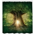 thumbnail image 3 of Ambesonne Tree Shower Curtain, Thirving Jungle Spring Season, 69"Wx84"L, Green Pale Yellow, 3 of 3