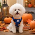 thumbnail image 6 of Fall Decor Dog Vest Costume,Soft Breathable Pumpkin Ghost Printed Festive Outfit Dog Shirts for Small Dogs,Holiday Party Clothes for Outdoor Event Celebration,Blue, 6 of 9