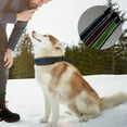 thumbnail image 3 of SPRING PARK Adjustable Reflective Dog Collar Cat Head Buckle Neck Strap Collar Bell Puppy, 3 of 7
