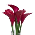 thumbnail image 2 of Vickerman F12145 Lys de Calla Violet dans l'Eau Acryllique, 2 of 6