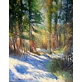 thumbnail image 2 of Wallich, Richard 12x14 White Modern Wood Framed Museum Art Print Titled - Snow, 2 of 4