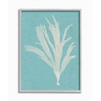 Stupell Industries Coral Seaweed Cyan White Beach Design Framed Wall Art by Vision Studio