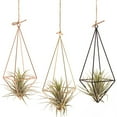 thumbnail image 3 of SUSUchens Propagation Stations Glass Terrarium Plant Geometric Shape Plant Iron Stand Air Plant Holder Home Office Decor (Golden), 3 of 13