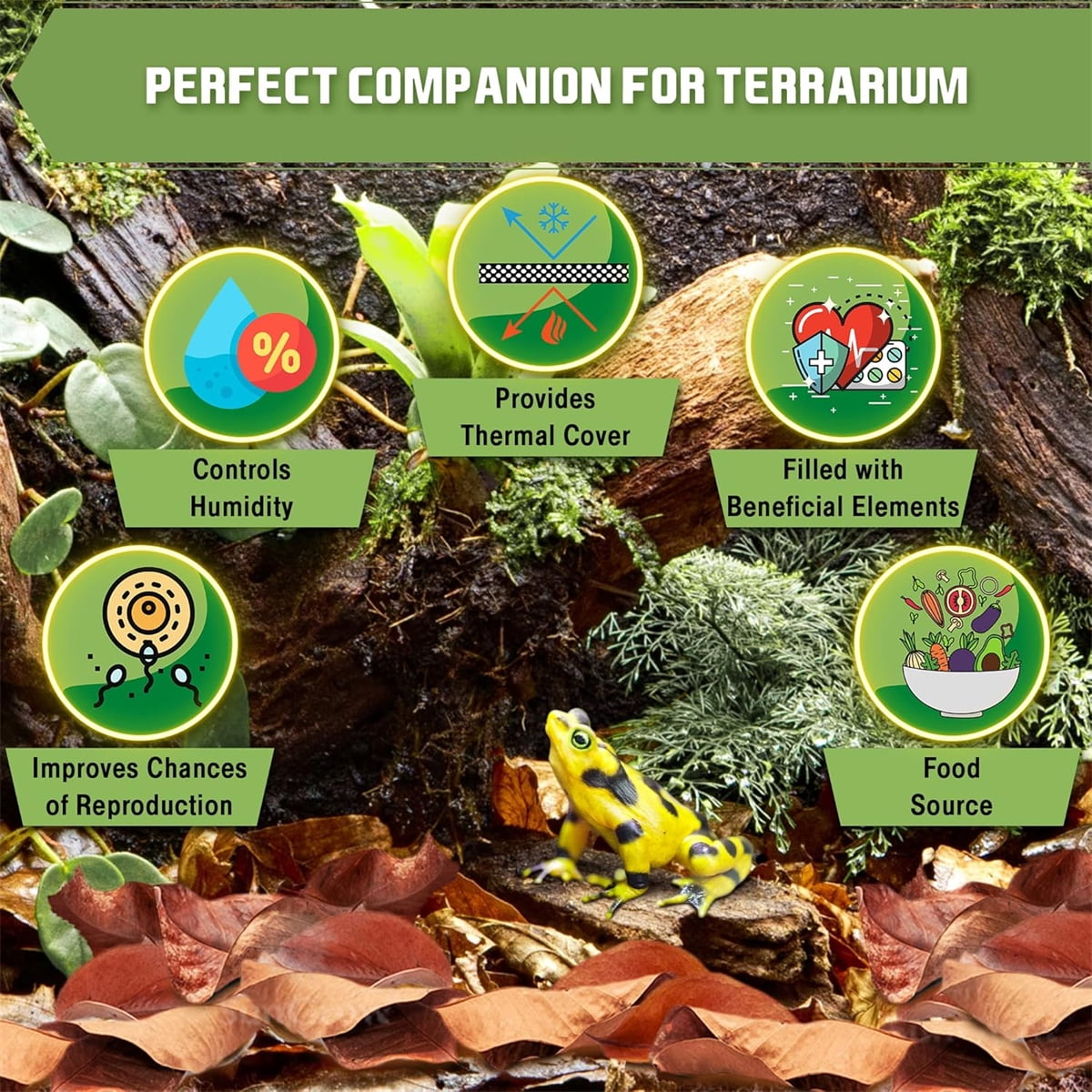 0.26LB Organic Magnolia Leaf Litter for Reptiles,Heat Treated Terrarium Substrate for Bioactive Enclosures,Isopods,Frogs,Turtles