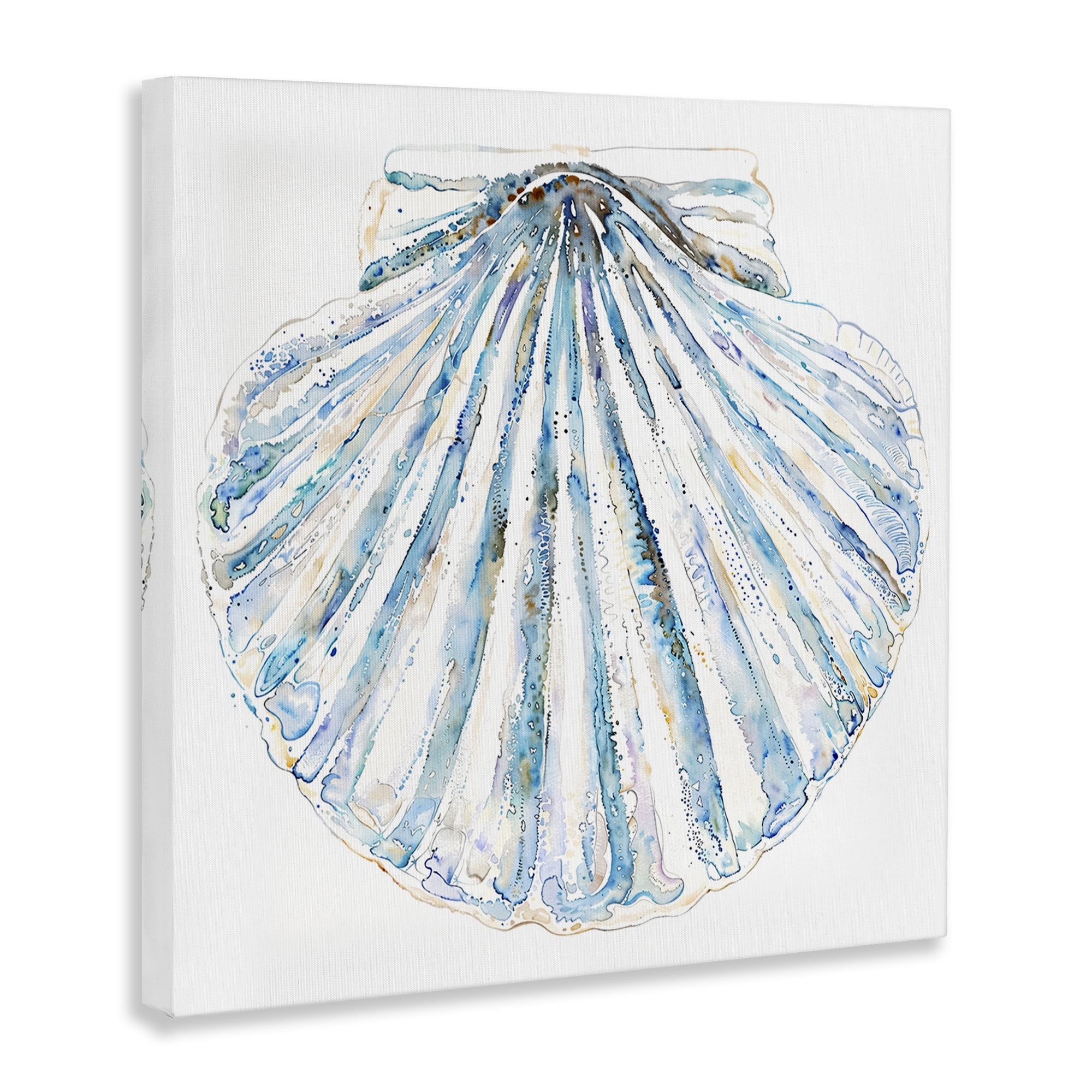 Stupell Industries Clam Shell on White Coastal Painting Gallery Wrapped Canvas Art Print Wall Art, 24 x 24