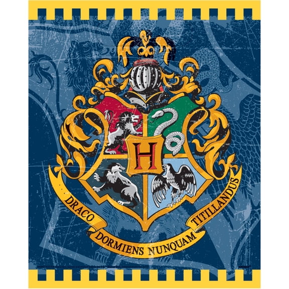 Unique Industries Harry Potter Birthday Party Bags, 8 Count