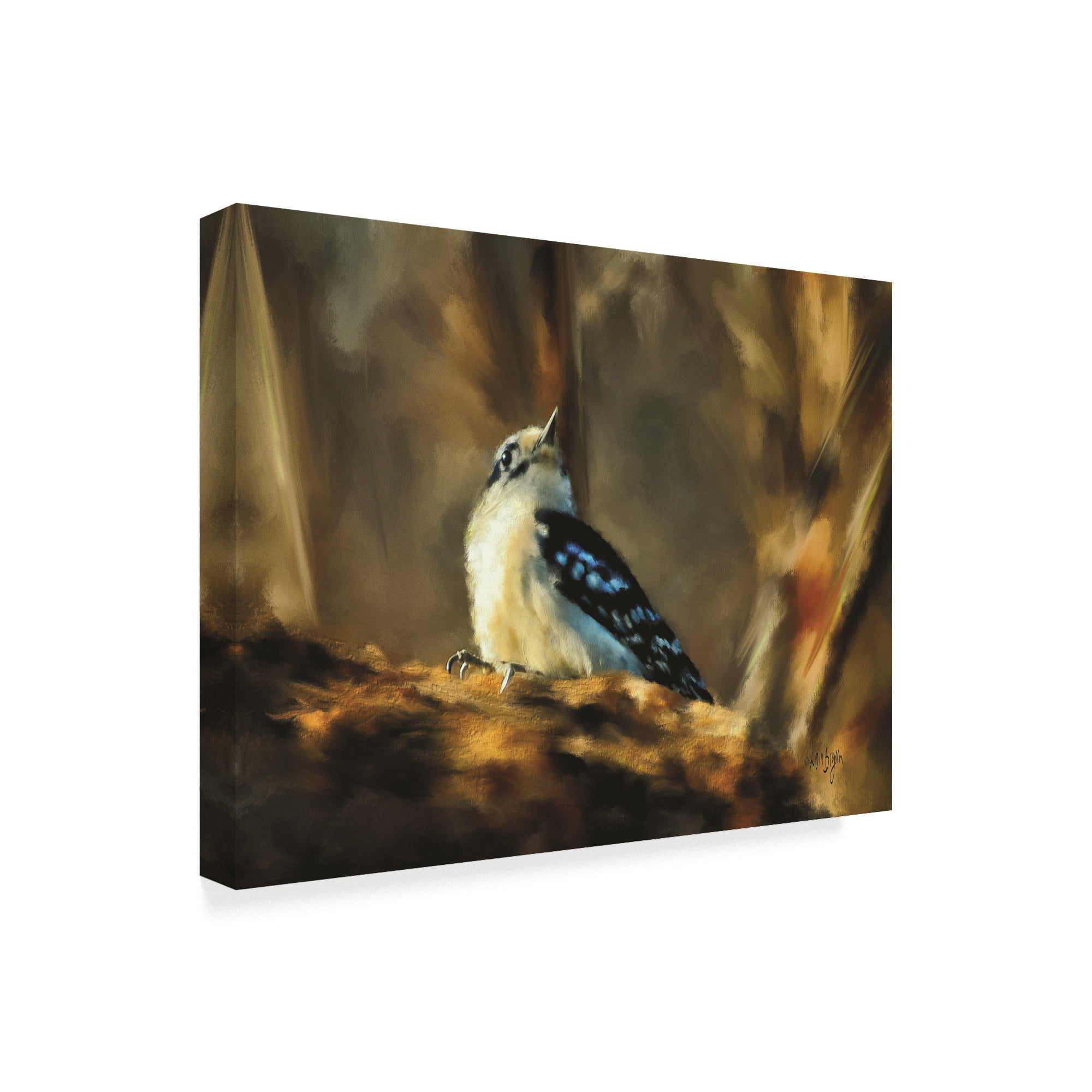 Trademark Fine Art 'Little Downy Woodpecker' Canvas Art by Lois Bryan