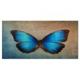 thumbnail image 2 of Design Art - Papillon Vintage Bleu, 2 of 3