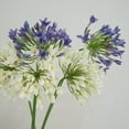 thumbnail image 2 of HEVIRGO 4PCS Artificial Flower Fresh-keeping No Watering Long-lasting Easy to Carry UV-resistant Artificial Agapanthus Flower Home Decoration ,Purple, 2 of 7