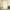 Yellow, variant on YOLOKE Sheer Voile Window Curtain Panels - 40 x 106 Inches
