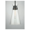 thumbnail image 5 of Lakewood 1-Light Pendant in Matte Black, 5 of 5