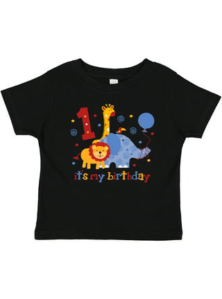 Baby Boy 1st Birthday Shirts