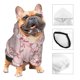 thumbnail image 3 of Balery Orchids Flowers Sudadera con Capucha para Perros Pequeños – Ropa para Mascotas, Disfraz para Perros y Gatos, Ideal para Fiestas y Cosplay-X-Small, 3 of 7
