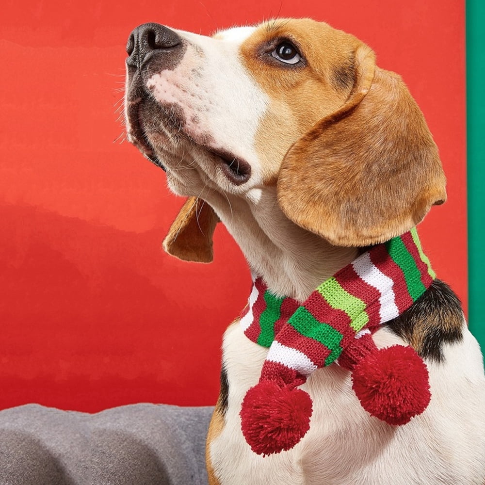 Christmas Pet Dog Scarf Red-White-Green Striped Knitted Neck