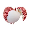 thumbnail image 1 of Broche De Lichi, Adorno Decorativo De Moda Para Bufandas, Vestidos Y Suéteres., 1 of 9
