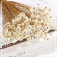 thumbnail image 5 of NOGIS Natural Dried Flowers Brazilian Small Star Daisy Dried Decorative Mini Chamomile Bouquet for Wedding Floral Arrangements Home Decorations Valentine's Day Gifts (100 Stems) (White), 5 of 7
