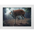 thumbnail image 1 of Wilhelm, John 14x11 White Modern Wood Framed Museum Art Print Titled - Mother and Fawn, 1 of 4