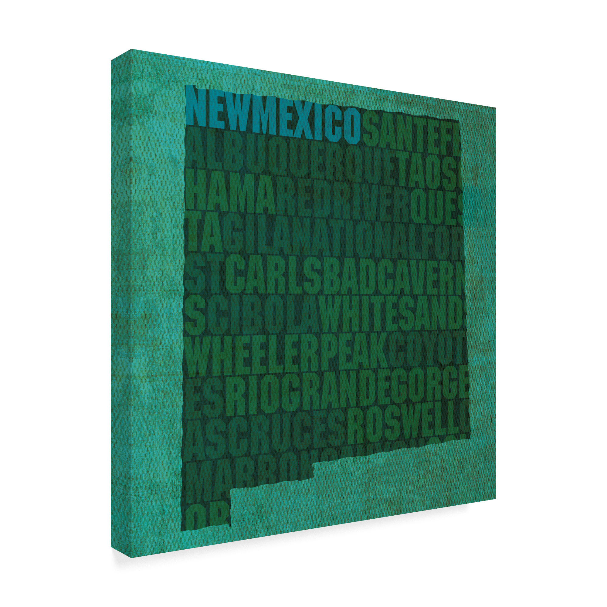 Trademark Fine Art 'New Mexico State Words' Canvas Art by Red Atlas Designs