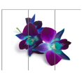 thumbnail image 3 of Designart - Deep Purple Orchid Flowers on White - Flowers Canvas Wall Artwork, 3 of 4