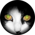 thumbnail image 1 of Tire Cover Central Cat Eyes Black Vinyl Spare Tire Cover 255/75r17, 1 of 3