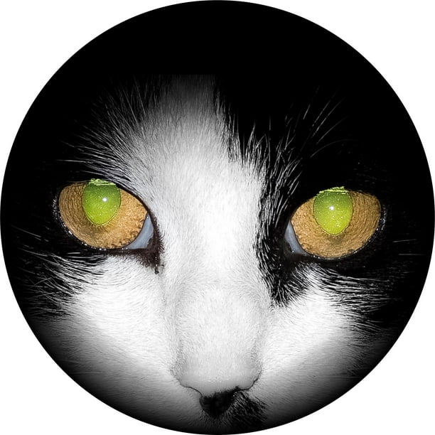 Tire Cover Central Cat eyes close up spare tire cover fits 205/75R14 fits Camper, Jeep, RV, Scamp, Trailer(drop down size menu-all sizes available)