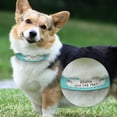 thumbnail image 6 of Didog Personalized PU Leather Small Dog Collar Free Engraving Cat Pet Puppy ID Name Number, 6 of 7