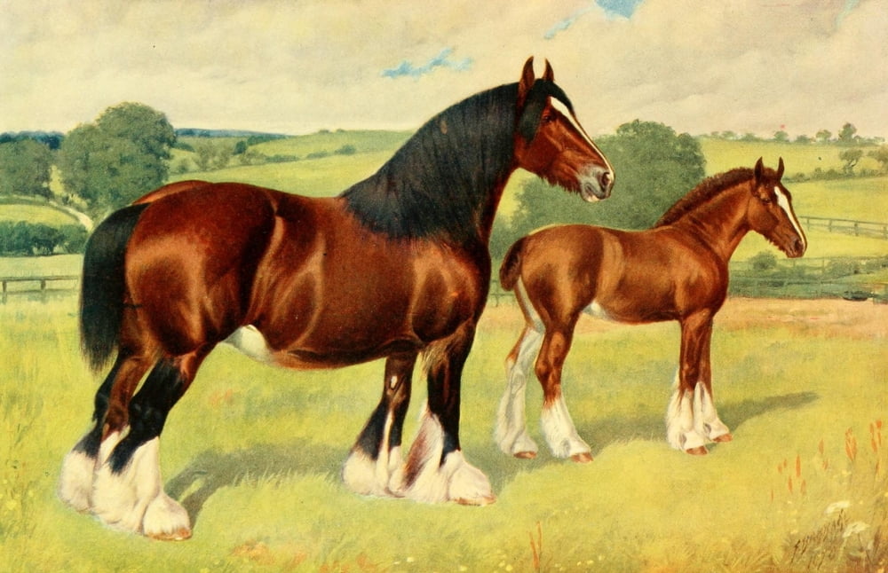 Posterazzi The Hors