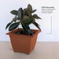 thumbnail image 2 of Bloem Dayton 15" Terra Cotta Recycled Plastic Square Box Planter for Indoor and Outdoor Gardening, 2 of 6