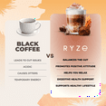 thumbnail image 6 of RYZE SUPERFOODS Mushroom Medium Roast Coffee USDA Organic with 6 Adaptogenic Mushrooms, USA Grown Instant Coffee for Better Energy, Focus Digestion Immunity with Lions Mane & Turkey Tail 30 Servings, 6 of 8