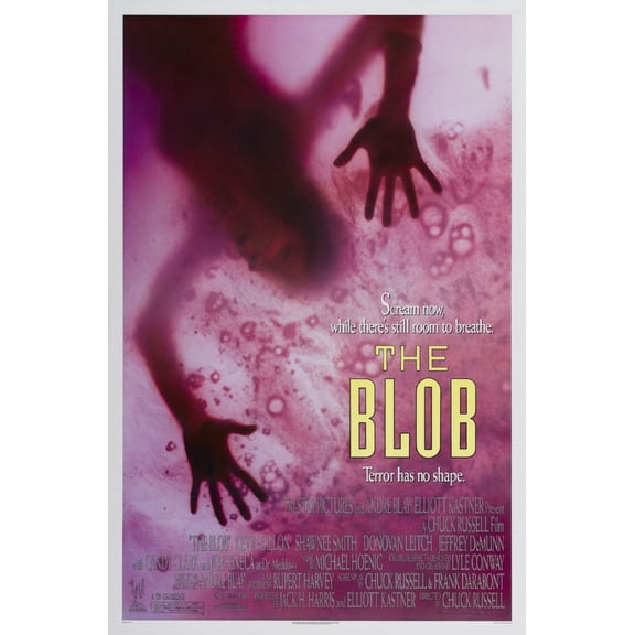 Western Graphic Blob The poster 16x24 Color Category: Multi, Unframed, Ages: Adults, Rectangle