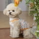thumbnail image 5 of Vestido para perros pequeños, niña, falda floral, transpirable, para cachorros, vestido tutú, lindo gato, princesa, ropa de verano, disfraz de cumpleaños para perros, 5 of 8