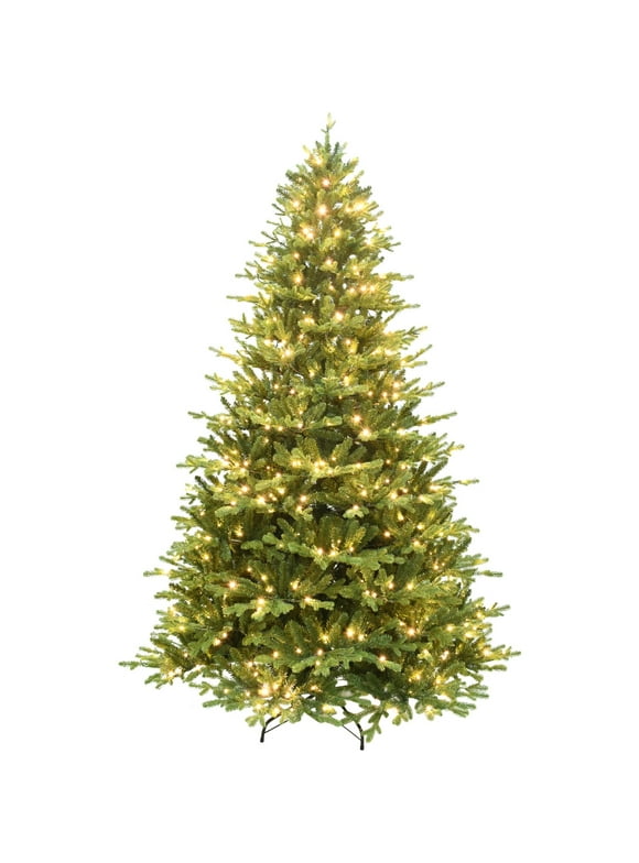 Unlit Christmas Trees