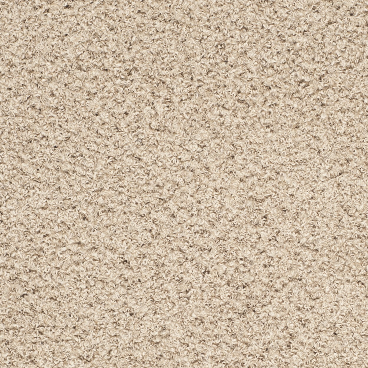SAFAVIEH Martina Solid Sheep Polyester Shag Area Rug, Beige, 4' x 6'