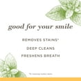 thumbnail image 3 of Burt's Bees Toothpaste, Fluoride Free, Purely White, Zen Peppermint, 4.7 oz, 3 of 10