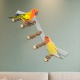 thumbnail image 4 of Percha para Pájaros, Periquitos, Rampa de Escalada con Ventosa, Ahorra Espacio, Percha para Loros, Periquitos y Cacatúas para Pared A., 4 of 7