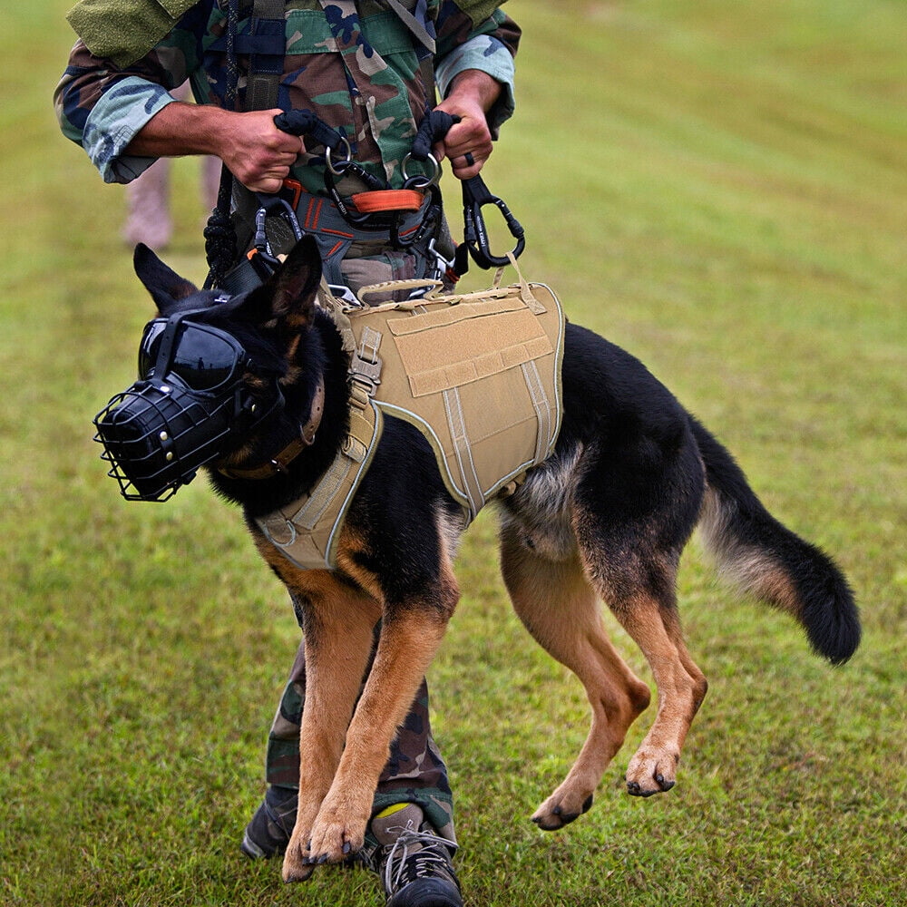 Didog Nylon No Pull Dog Harness Reflectiveet Dog Walking Training Molle Vest with Handle Adjustable Brown/Green/Black/Hot Pink