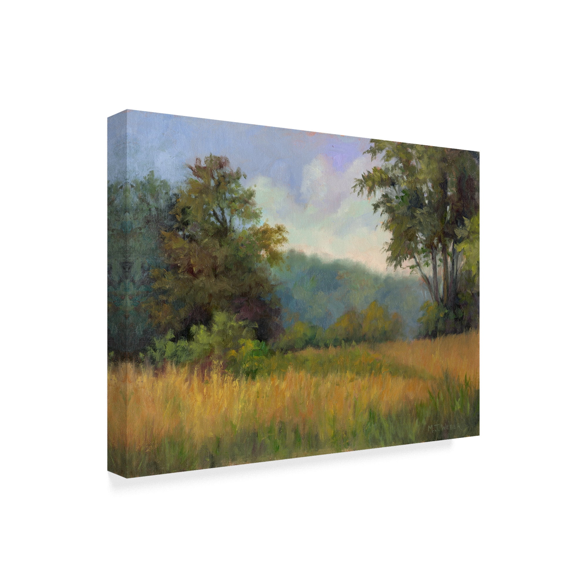 Trademark Fine Art 'View from Grailville' Canvas Art by Mary Jean Weber