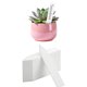 thumbnail image 1 of Garden Label Flower Label Pvc Garden Plastic Label, 1 of 6